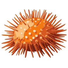Under the Sea Theme Sea Urchin Transparent Sticker
